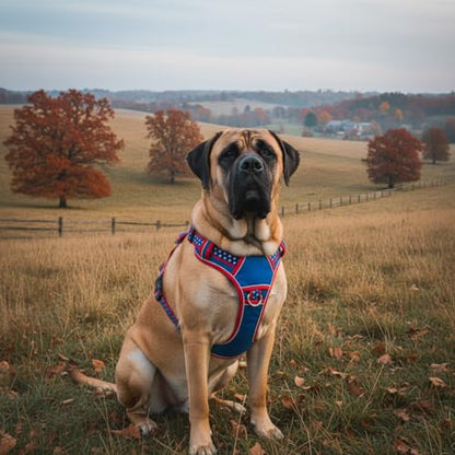 XXL Giant Dog Harness, Maximum Control Heavy Duty Training Gear, No Pull Big Doggy Vest with Neck Buckle, Breathable Padded Straps & Strong Handle for Puppy Rottweiler, Great Dane (XX-Large) - size: XX-Large