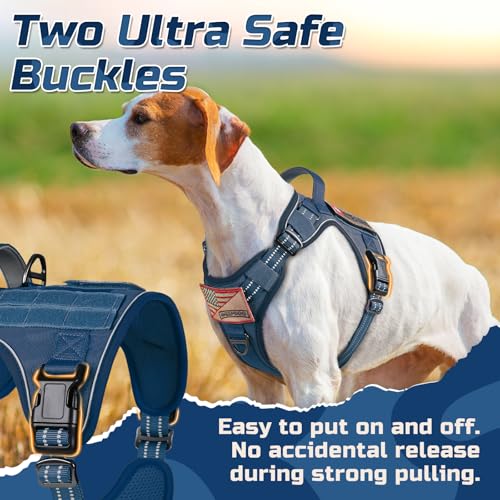 rabbitgoo Dog Harness No Pull, Military Dog Harness Medium Sized Dog with Handle & Molle, Easy Control Service Dog Vest Harness Training Walking, Adjustable Reflective Tactical Pet Harness, Blue, M - color: Blue, size: Medium