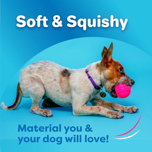 Hartz DuraPlay Ball Squeaky Latex Dog Toy, Neon Green, Neon Pink & Neon Orange, Large 3 Count Pack - size: 3 Count, style: Large Ball