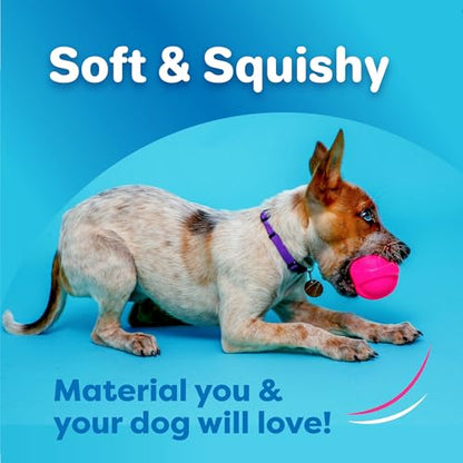 Hartz DuraPlay Ball Squeaky Latex Dog Toy, Neon Green, Neon Pink & Neon Orange, Large 3 Count Pack - size: 3 Count, style: Large Ball