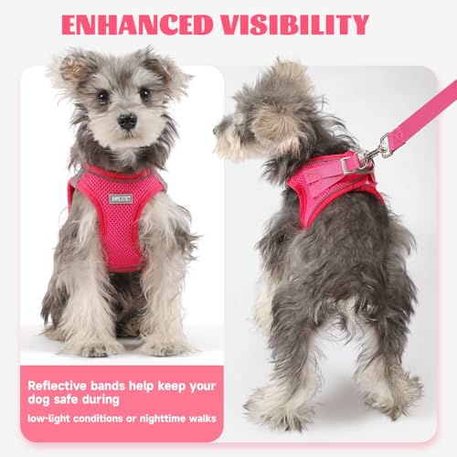 Dog Harness Small Sized and Leash Set, Step in Soft Light Puppy Vest, Breathable Mesh Pet Harness, Reflective for Safe Easy Walking. - color: Pink, size: X-Small (Pack of 1)