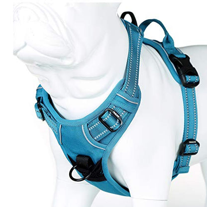 JUXZH Truelove No Pull Dog Harness with Easy Control Handle and 2 Leash Attachments,Reflective Adjustable Pet Vest - color: Teal Blue, size: Small (Pack of 1)
