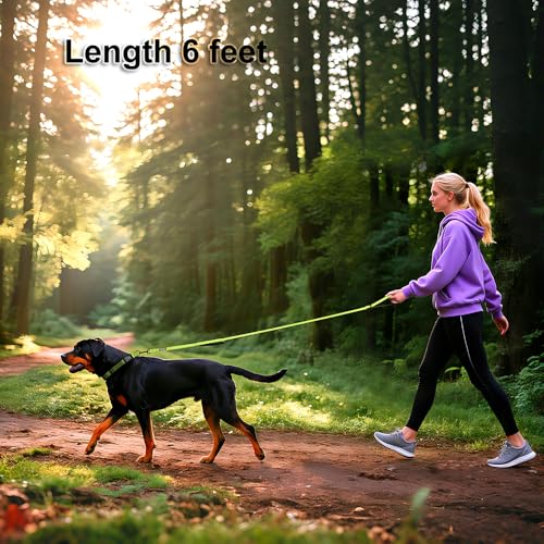 Heavy Duty Double Handle Dog Leash 6 ft Long for Total Control, Padded 2 Handle, Reflective Training Lead for Medium Large Dogs (Green, 6 FT) - color: Green