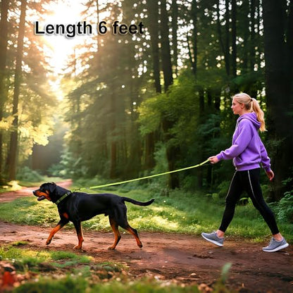 Heavy Duty Double Handle Dog Leash 6 ft Long for Total Control, Padded 2 Handle, Reflective Training Lead for Medium Large Dogs (Green, 6 FT) - color: Green