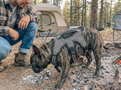 Tuff Pupper Escape Proof No Escape Dog Harness | 5 Point Adjustable Fit Harness for Dogs | Padded Dog Harnesses | Handle Dog Lift Harnesses - color: Steel Grey, size: Small: 17-22 Inch Chest