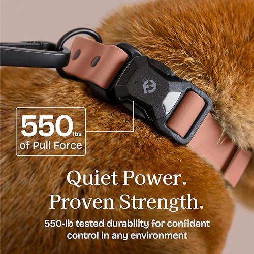 Fei & Eve VERO Dog Collar, Blush, Large | MagEase Magnetic Buckle, Waterproof PVC, Odor Resistant, Easy Clean, Heavy Duty - color: Blush, size: L