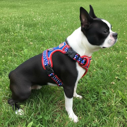Medium Dog Harness, No Pull Pet Vest with Neck Buckle for Easy On Off, Breathable Walking Harness for French Bulldog, Corgi, Beagle, Padded with Sturdy Handle, 2 Tactical Leash Clips (M Size) - size: Medium