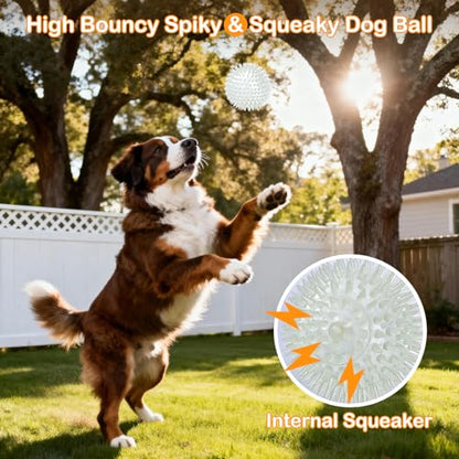 petizer 2.5 Inch 6 Pack Glowing Squeaky Ball for Dogs - Durable Rubber Spiky Balls for Small Dog, Bouncy Glow in the Dark Fetching Balls Indoors & Outdoors, Puppy Teething Chew & Training Toys - size: 2.5‘’