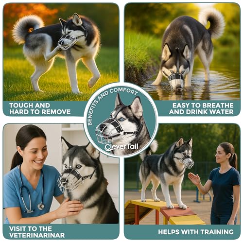 Metal Husky Muzzle for Large Sized Dog – Basket Muzzle for Dogs with Adjustable Leather Straps – Steel Cage Dog Muzzle to Prevent Biting and Eating – Mouth Guard for Large and Medium Dogs