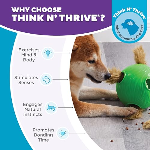 Outward Hound by Nina Ottosson Dog Snuffle N' Treat Ball Puzzle, Level 2 Intermediate, Green, Large - color: Snuffle N' Treat (Green)