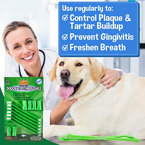 Bodhi Dog Toothbrush Combo Pack - Soft Finger & Dual-Ended Brushes - Gentle Bristles for Dogs & Cats - Easy Teeth Cleaning (6 Long & 6 Finger) - size: 1 Count (Pack of 12)
