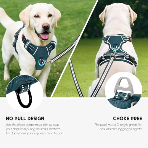 Timos Dog Harness Small Sized, No Pull Pet Harness with Neck Lockable Snap, No Choke Front Clip Reflective Vest, Adjustable Metal Rings 3 Buckles, Easy Control Handle for Small Dogs Blackish Green S - color: Lock Blackish Green, size: Small (Pack of 1)