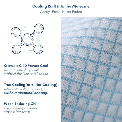 petfelix FrostEase Dog Cooling Mat, Cooling Dog Bed and Cooling Pad for Dog with Qmax 0.4 Yarn, Breathable 3D Airflow Layers, Machine Washable Non Slip Base for Pets, Blue, XXL, 55"*36" - size: XXL-55''*36''