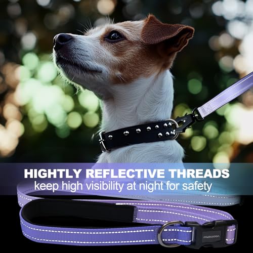 Heavy Duty Hands Free Dog Leash with Quick Release Carabiner and Adjustable No Pull Bungee Dog Running Waist Leash，for Walking and Training with Car Seat Belt 4-6FT (Aurora Purple) - color: Aurora Purple