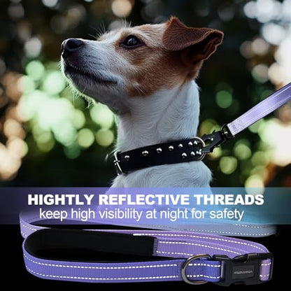Heavy Duty Hands Free Dog Leash with Quick Release Carabiner and Adjustable No Pull Bungee Dog Running Waist Leash，for Walking and Training with Car Seat Belt 4-6FT (Aurora Purple) - color: Aurora Purple