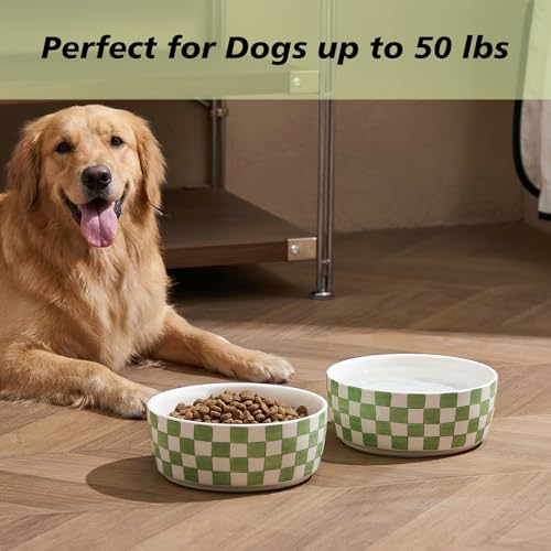 6.4 inch Ceramic Hand Painted Basic Dog Bowl Set of 2 with Anti-Skid Rubber Base, Food and Water Bowls for Small Pets Green - color: Green