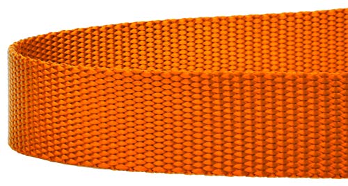 Country Brook Petz - Vibrant 17 Color Selection - Heavyduty Doublehandle Nylon Leash (6 Foot, 3/4 Inch Wide, Orange) - color: Orange