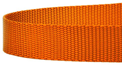 Country Brook Petz - Vibrant 17 Color Selection - Heavyduty Doublehandle Nylon Leash (6 Foot, 3/4 Inch Wide, Orange) - color: Orange
