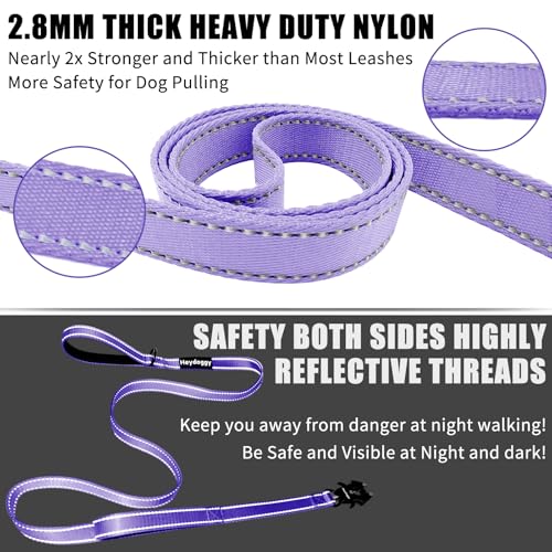 Strong Heavy Duty Dog Leash - 4ft Reflective Nylon Training Leash with Soft Padded Double Handle & Auto Lock Frog Clip, Safety Traffic Control for Large Medium Small Dogs No Pull Walk Light Purple,4ft - color: Light Purple, size: 4FT x 1" x 2.8MM