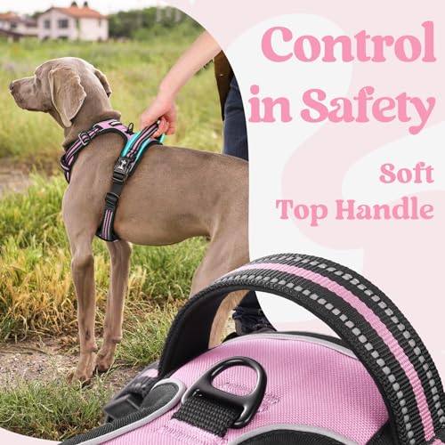rabbitgoo Dog Harness Small Sized, No Pull Easy On & Off with 3 Buckles Pet Harness, Adjustable Soft Walking Vest with 2 Clips and Handle, Reflective for Small Dogs, Pink, S - color: Pink, size: Small