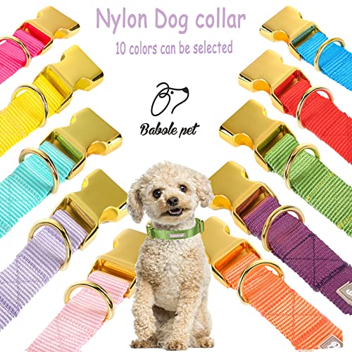 Nylon Dog Collar - Adjustable Green Soft Webbing Dog Collars for Small Medium Large Dogs Boy Girl Puppy Collar with Safety Metal Buckle XS - color: Nylon-Green, size: XS