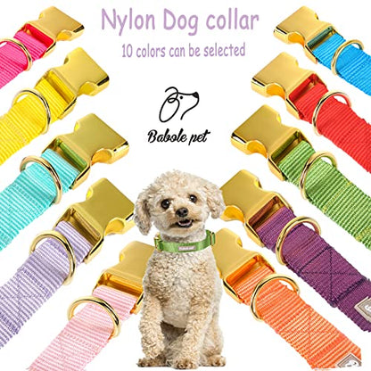 Nylon Dog Collar - Adjustable Green Soft Webbing Dog Collars for Small Medium Large Dogs Boy Girl Puppy Collar with Safety Metal Buckle XS - color: Nylon-Green, size: XS