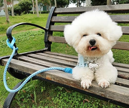 2/3/4/6/10 ft Reflective Dog Leash Strong Nylon Rope Braided Heavy Duty for Large and Medium Small Dogs Walking Training Leads (Sky Blue, 6ft * 1/2") - color: Sky blue, size: 6ft * 1/2"