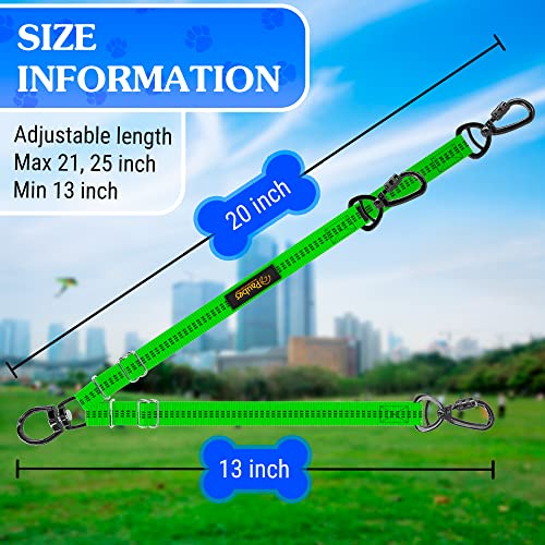 Dog Leash – Dual Reflective with Non-Tangle Design – Heavy Duty Nylon and Metal Buckles – Ideal (Green, 2 Dog Leash) - color: Green