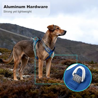 No Pull Dog Harness – Adjustable Reflective Nylon Vest for Small Medium Large Dogs, Escape Proof Training Harness with Leather Control Handle, Lightweight Aluminum Hardware (Royal Blue, S) - color: Royal Blue, size: S