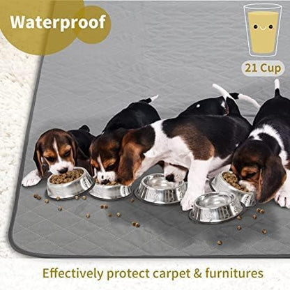 Washable Puppy Dog Pee Pad, 36"X36" 2pcs Reusable Puppy Pads, Waterproof Whelping Training Mat for Playpen Crate, Floor, Bed,Sofa and Trunk - size: 2Pc 36x36 Inch