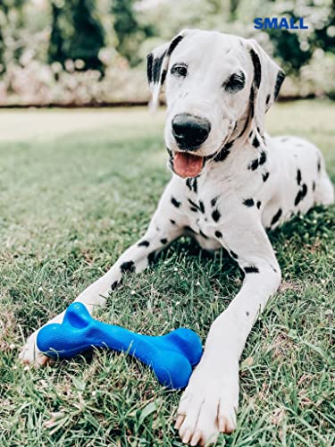 SuperChewer Tough Dog Bone Toy | Lifetime Replacement | Strong Natural Rubber | Great Dog Fetch Toy | Chew Toys for Dogs | Ultra Durable Chew Toys for Moderate Chewers | Large Breed Tested - size: Small