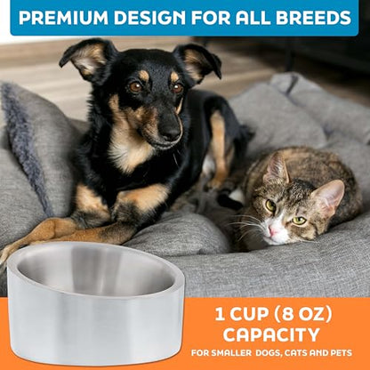 Master Pet Supply Stainless Steel Slanted Dog Cat Food Bowl - 8 oz Heavy Duty - Stainless Steel, Double Wall Insulated, Non-Slip Elevated Bowl for French Bulldogs Pugs Cats, Anti Rust Dishwasher Safe - color: Stainless Steel, size: 1 Cup (8 oz)