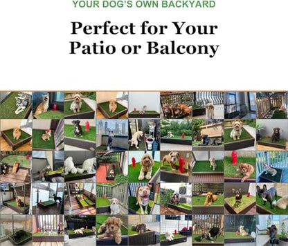 Porch Potty Stabdard Artificial Grass Potty Pads for Dogs, 4x2 Ft | Reusable Artificial Grass with Mesh Backing, Washable Design, Quick Absorb and Instant Drainage best for Dog Potty Training - size: New Standard