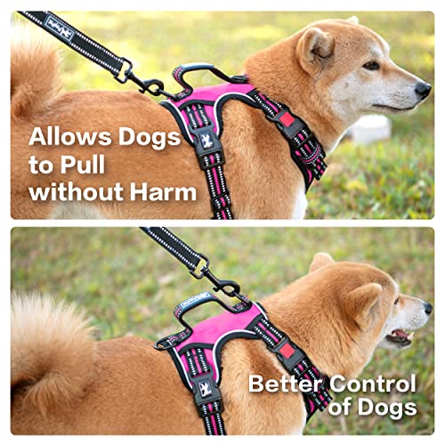 PoyPet No Pull Dog Harness, No Choke Front Clip Reflective Dog Vest with Soft Padded Vertical Handle, 3 Leash Attachments for Small Medium Large Dogs (Pink,L) - color: Pink, size: Large