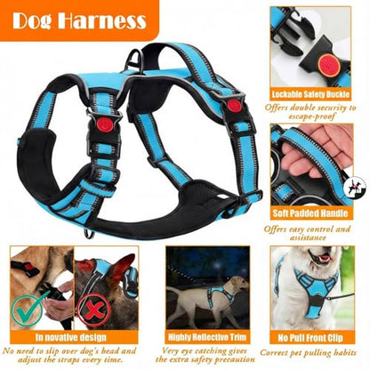 LOBEVE No Pull Dog Harness, Collar & Leash Set | Includes Dog Seat Belt, Collapsible Bowls & Poop Bag Dispenser. Ideal for Training, Walking, Hiking. Fits Small to Large Dogs(Blue-S) - color: Blue, size: Small
