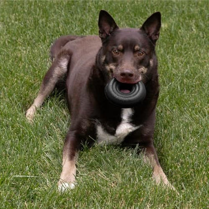 KONG Extreme Donut Dog Toy – Toughest Durable Natural Rubber Chew Toy for Power Chewers – Safe on Teeth & Gums, Fun Bounce & Roll for Indoor and Outdoor Play (Large/X-Large) - size: (Large/X-Large)