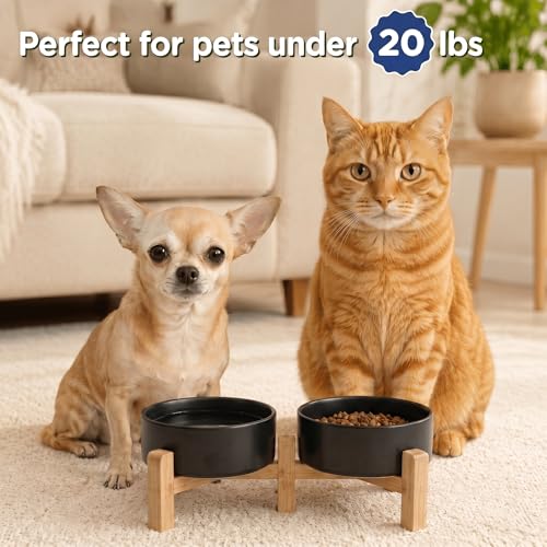 SPUNKYJUNKY Elevated Dog Bowls Ceramic, 5.1'' Dogs and Cat Food Water Bowls Raised with Non-Slip Bamboo Stand for Puppy Small Sized Breed Microwave Dishwasher Safe - 13.5 OZ,Black - color: Black, size: 5.1 in - 1.7 cups