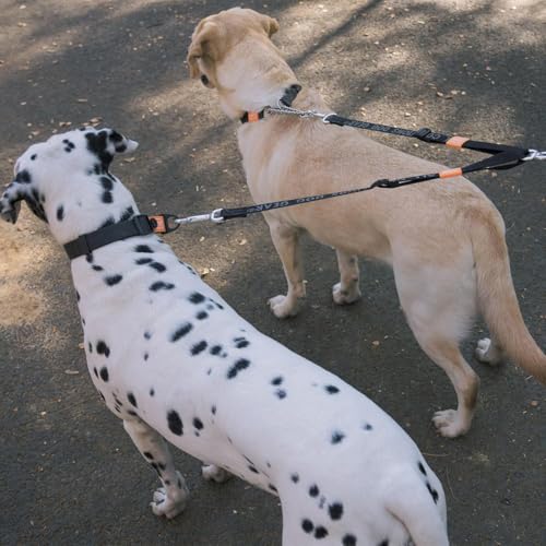 HOWGO Double Dog Leash,Tangle-Free 360 Swivel(Brown, Pro M-L Splitter) | Individually Adjustable Length, Coupler Leads 2 Dogs,Aviation Aluminum Hooks,Durable Nylon,No-Tangle Walking,All Breeds - color: Brown, size: Pro M/L