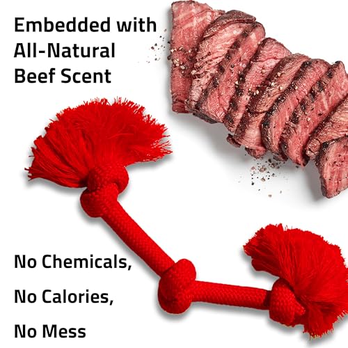 Playology Dog Toys | Dri-Tech Rope Tug of War Dog Toy for Tough Chewers | Beef Scented Jumbo Tug Rope Toys for Large Dogs - size: Jumbo, style: Beef