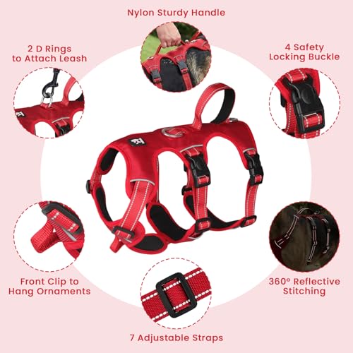 Escape Proof Dog Harness and Leash Set,Soft Padded Full Body Pet Harness, No Pull Reflective Adjustable Dog Vest with Handle, Easy Control Dog Harness for Medium Large Dogs Training Walking Running - color: Red, size: XL