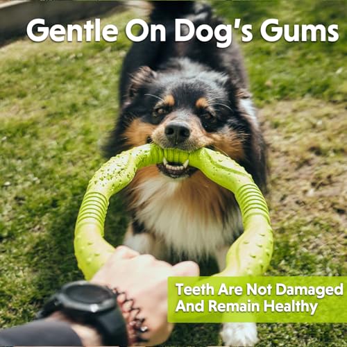 LaRoo Dog Toys for Medium/Large Dogs, Floatable Dog Flying Discs 3 Sizes Pool Toy, Interactive and Tug of War Ring Toy, Funny Fetch Teething Toys (Green, 11.8“) - color: Green, size: Large