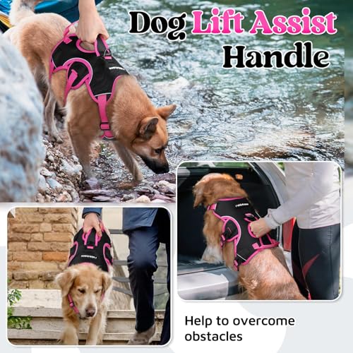 rabbitgoo Escape Proof Dog Harness Medium, Soft Padded Full Body Pet Harness, Reflective Adjustable No Pull Vest with Lift Handle and Leash Clip for Walking Hiking Training, Pink & Black, M - color: Pink & Black, size: Medium (Pack of 1)