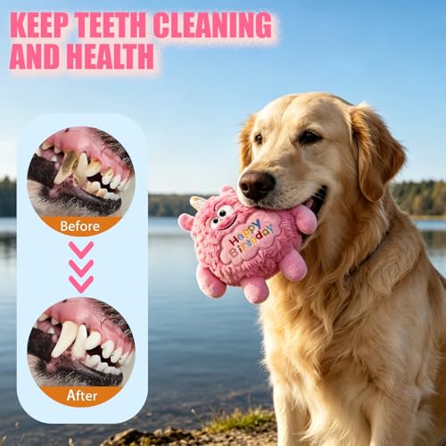 Plush Dog Birthday Toy for Girl Boy Gifts, Crinkle Squeaky Dog Toy Keep Them Busy Tug of War Stuffed Dog Chew Toy for Small Medium Large Dogs (Pink) - color: Pink