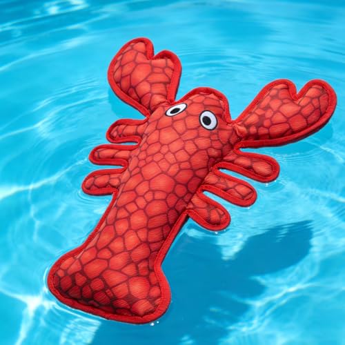 EXPAWLORER Lobster Dog Water Toy with Multiple Squeakers, Interactive Floating Dog Toys for Water Fetch, Durable Summer Pool Toys for Small Medium Large Dogs, NOT for Aggressive Chewer, Red - color: Red