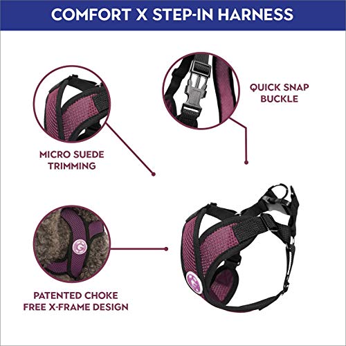 Gooby - Comfort X Step-in Harness, Choke Free Small Dog Harness with Micro Suede Trimming and Patented X Frame, Purple, Small - color: Purple, size: Small