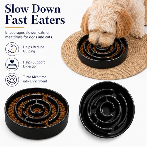 Slow Feeder Dog Bowls, Silicone Dog Bowl with Anti-Slip, Slow Feeder & Non-Slip Design, Boredom and Anxiety Reducer, Suitable for All Breed Dogs and Cat (Ceramic-Black) - color: Ceramic-Black