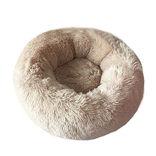 Modern Soft Plush Round Pet Bed for Cats or Small Dogs, Mini Medium Sized Dog Cat Bed Self Warming Autumn Winter Indoor Snooze Sleeping Cozy Kitty Teddy Kennel (20'' D x 8'' H, Champagne) - color: Champagne, size: Small 20''
