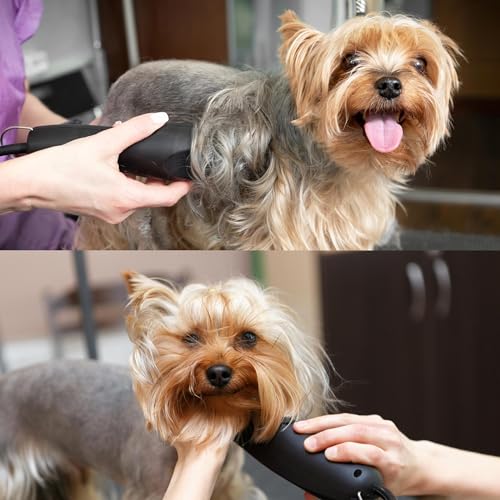 Detachable A Series 10 Blade Dog Grooming Cut Length 1/16" / 1.5mm Japanese Carbonized Steel Dog Grooming Blades 10 (Compatible A5 Series Clippers for Dogs Horses(B10) - color: 10 (1/16" / 1.5mm)