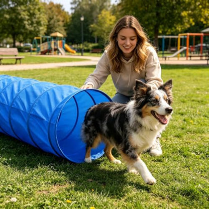 Dog Agility Course Backyard Set Exercise Trainer with Tunnel | Dog Playground Equipment for Outdoor Garden Park Beach Playground Field Competition Recreation - color: A
