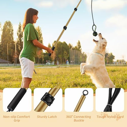 Flirt Pole for Dogs, Interactive Toys Tug-of-war for Pet, Durable Teaser Wand, Chase Toys with Rope Chewing Sticks, for Outdoor Exercise & Training - size: 2 switch-40.2Inch-Gold